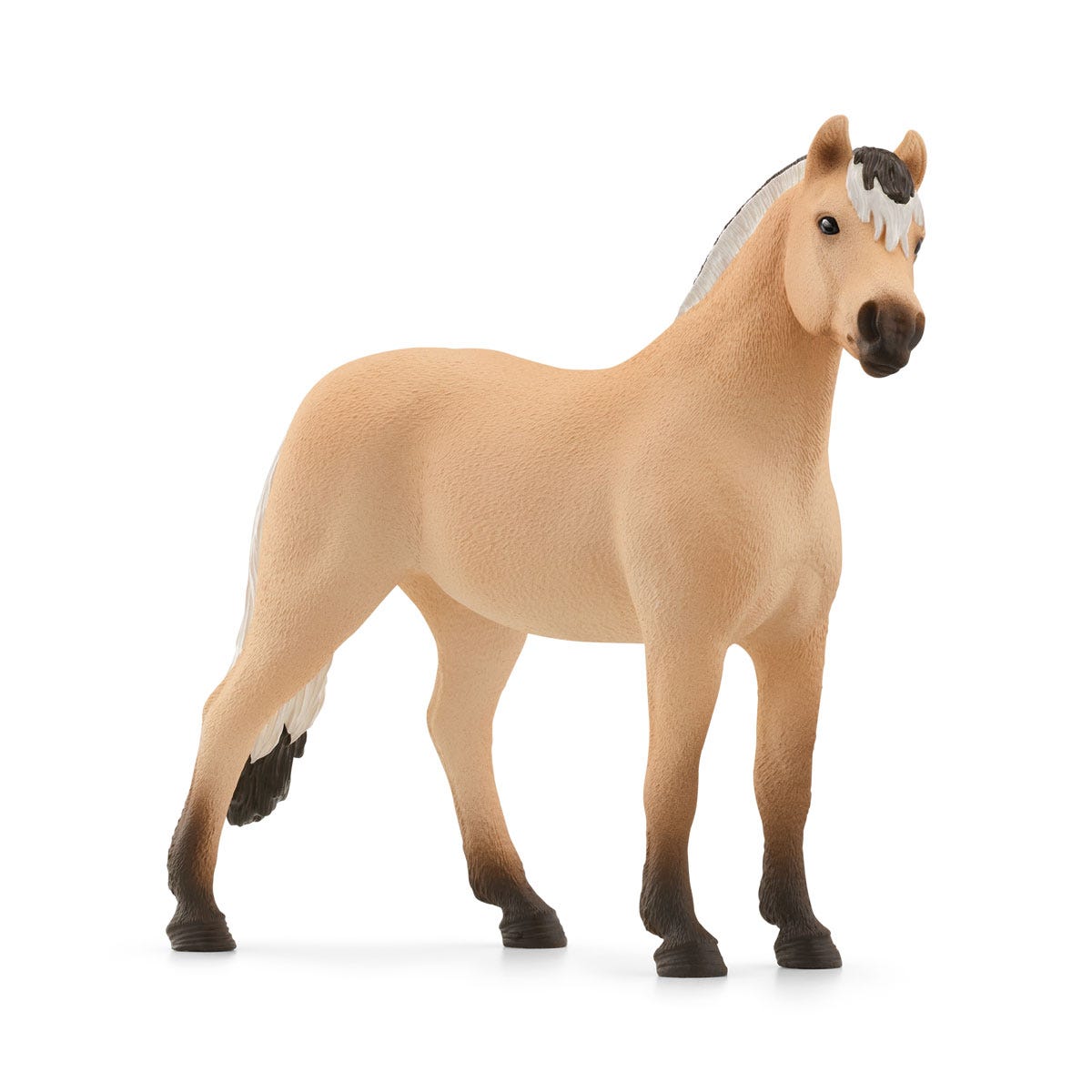 フィヨルド（オス）