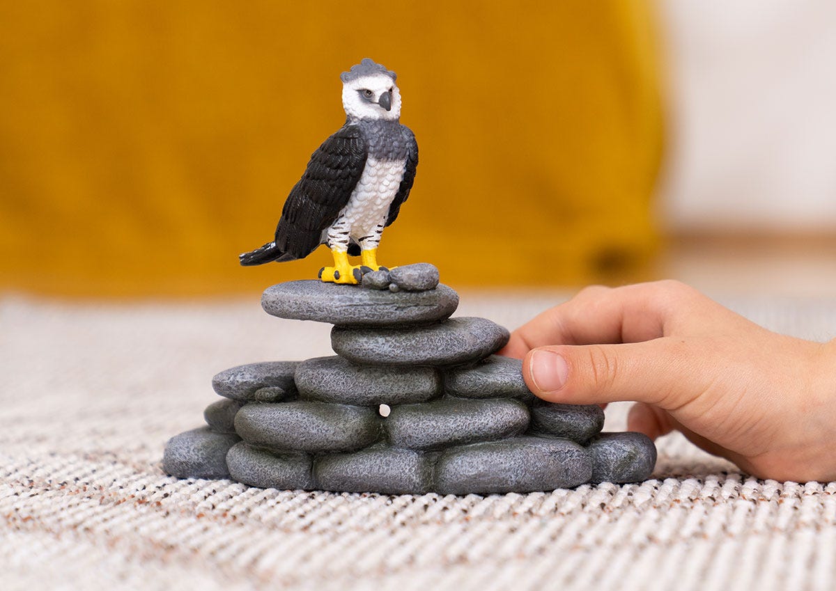オウギワシ