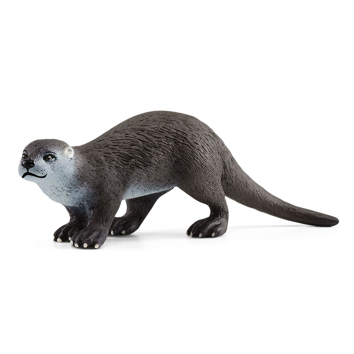 ユーラシアカワウソ