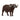 アフリカスイギュウ