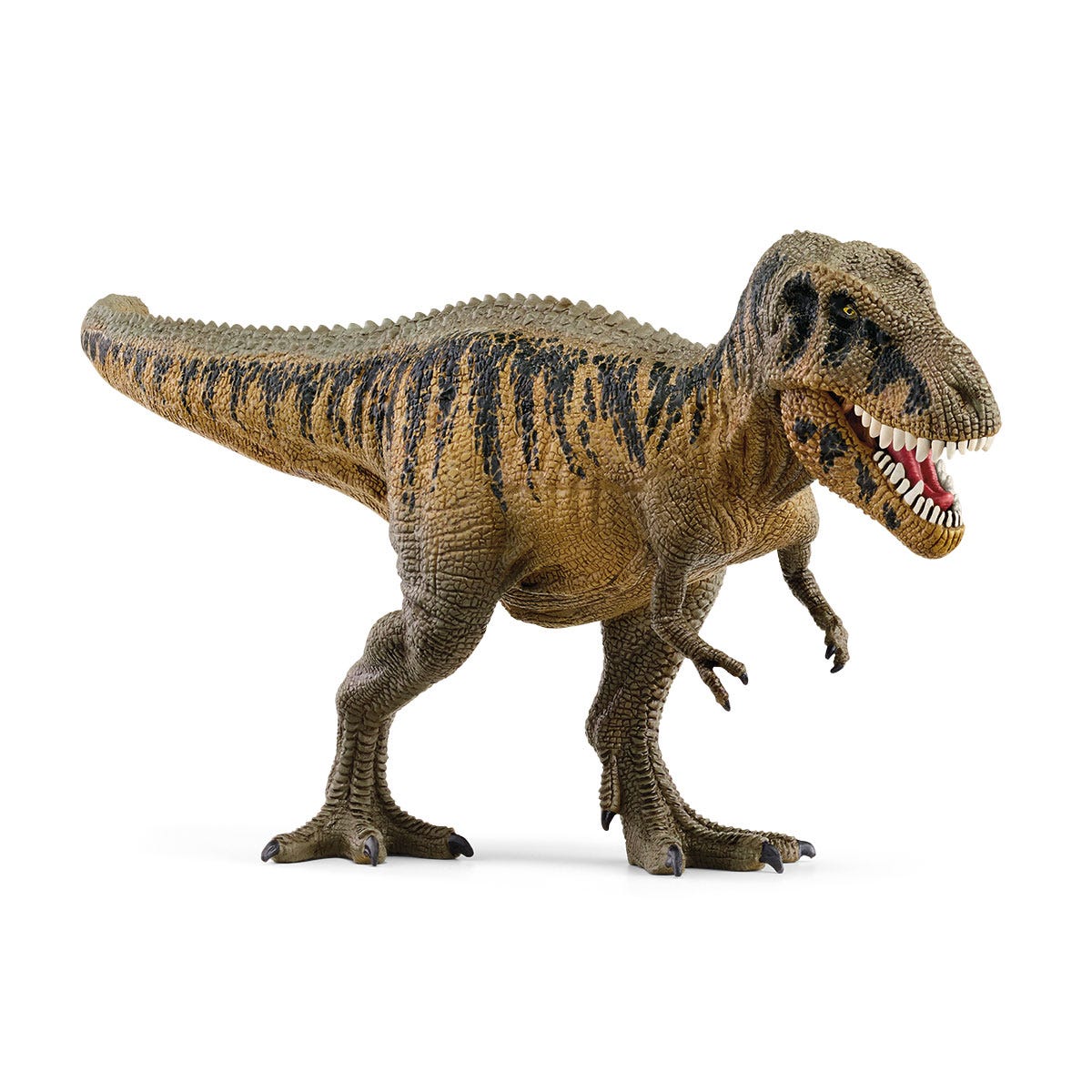 タルボサウルス