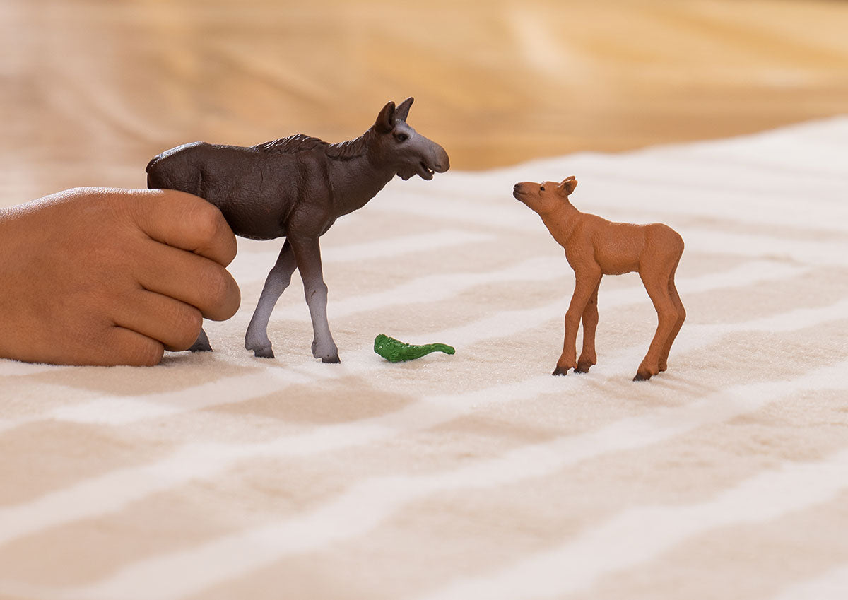 ヘラジカ（メス）と仔 