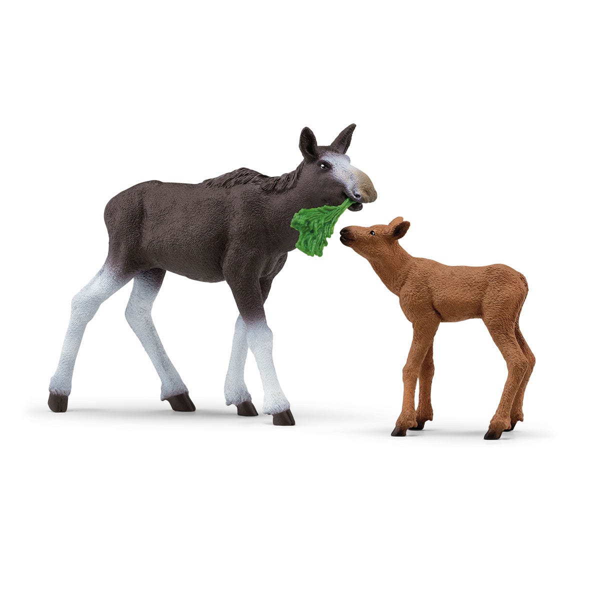 ヘラジカ（メス）と仔 
